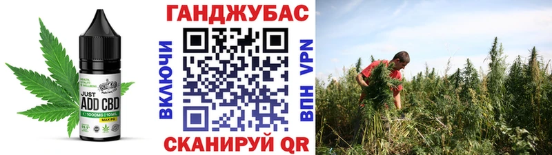 Cannafood марихуана как найти наркотики Пестово